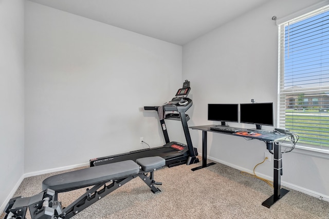 9752 New Bern Dr, Fort Worth, TX 76108 - workout area with carpet flooring, plenty of natural light, and baseboards