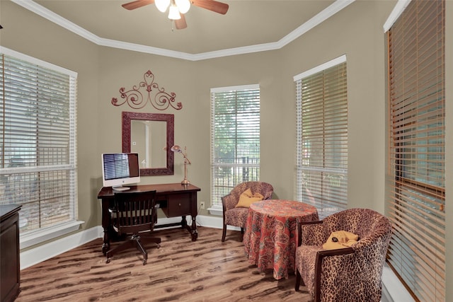 7904 Chickasaw Trl, Mckinney, TX 75070 - home office featuring wood finished floors, a ceiling fan, ornamental molding, and baseboards
