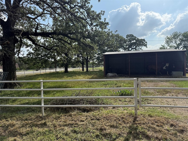 820 Goshen Rd, Springtown, TX 76082 - view of yard