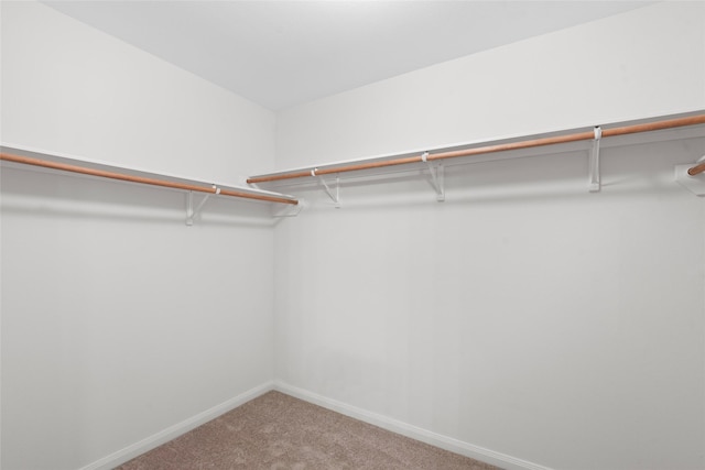 2118 Cone Flower Dr, Forney, TX 75126 - spacious closet with carpet flooring