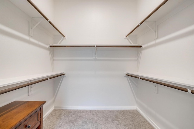 812 Porcupine Dr, Springtown, TX 76082 - walk in closet with carpet flooring