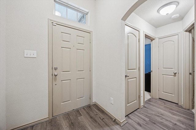 10149 High Eagle Trl, Fort Worth, TX 76108 - entryway featuring arched walkways and wood finished floors