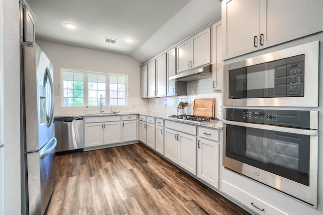 2246 Hartley Dr, Forney, TX 75126 - kitchen with stainless steel appliances, under cabinet range hood, a sink, dark wood-style floors, and backsplash