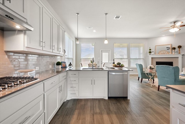 3604 Hidden Hollow Dr, Grand Prairie, TX 76065 - kitchen featuring stainless steel appliances, a sink, range hood, a peninsula, and a ceiling fan