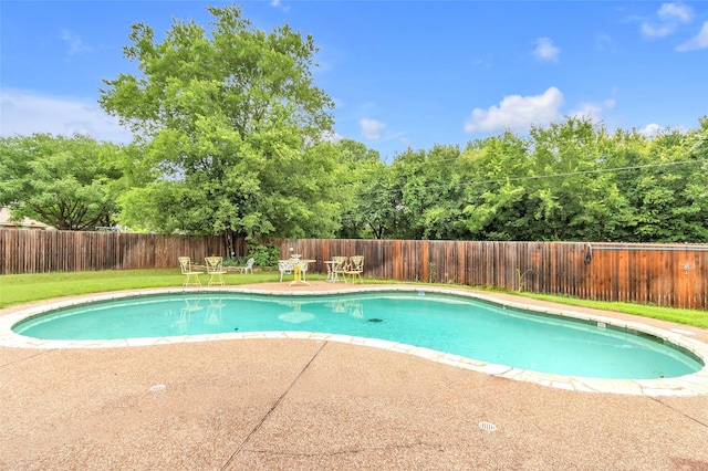 1125 Starling Ct, Burleson, TX 76028 - view of swimming pool featuring a patio