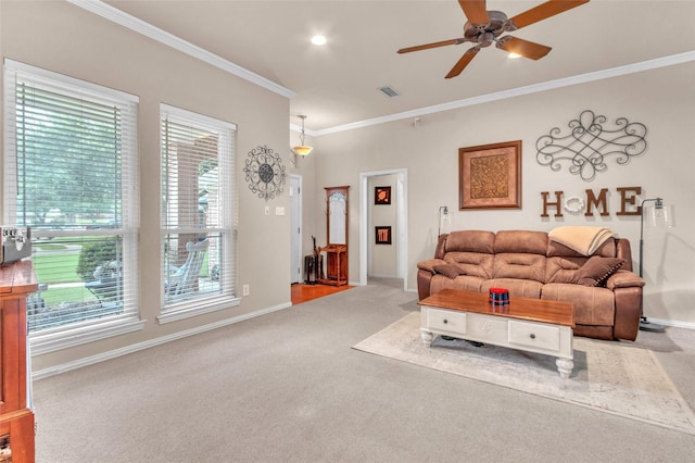 1125 Starling Ct, Burleson, TX 76028 - carpeted living room with crown molding, healthy amount of natural light, ceiling fan, and baseboards
