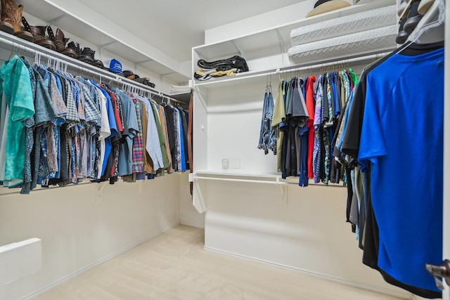 6173 Arcadia Park Ln, Frisco, TX 75036 - view of walk in closet