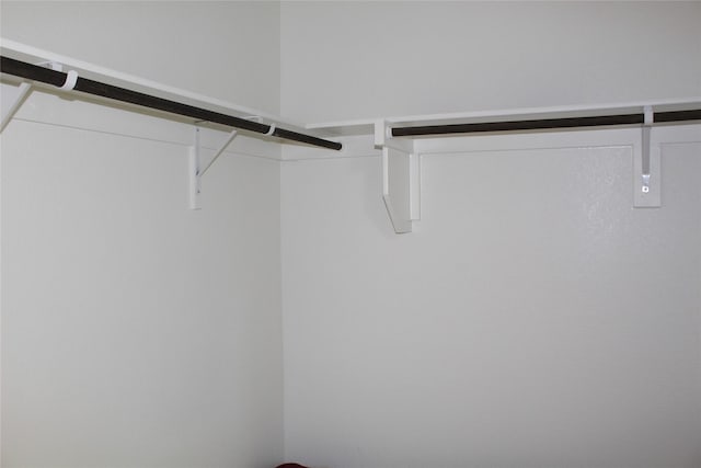 608 Remington Rd, Celina, TX 75009 - view of walk in closet