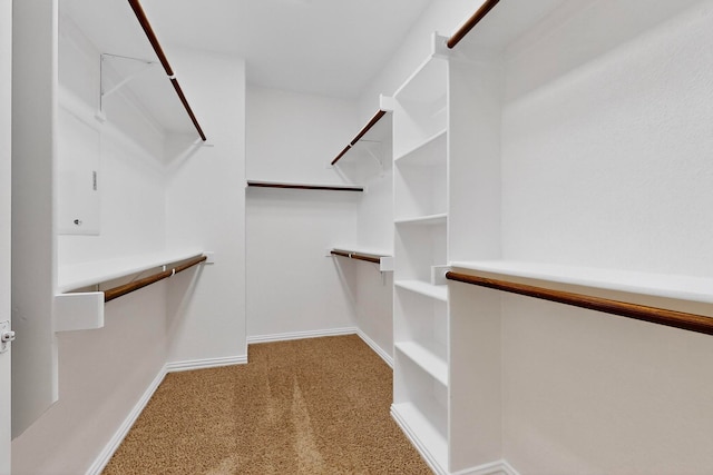 3436 Copper Point Ln, Frisco, TX 75034 - spacious closet featuring carpet floors