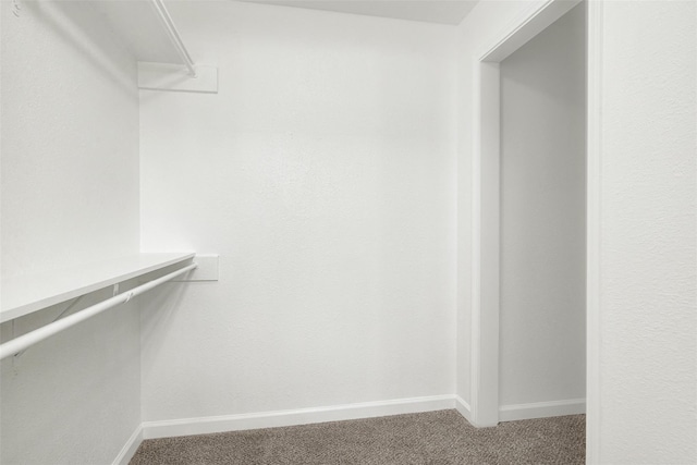 413 Shadowwood Trl, Ovilla, TX 75154 - spacious closet featuring carpet flooring