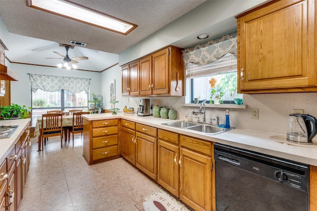 1001 Woodhaven Ct, Euless, TX 76039 - kitchen featuring black dishwasher, a sink, light countertops, plenty of natural light, and a textured ceiling