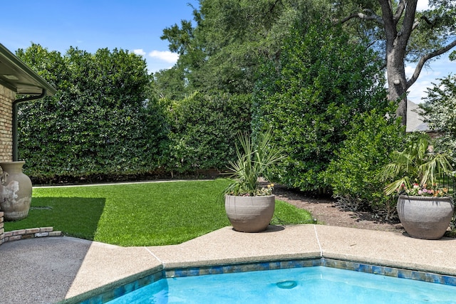 2020 Winding Hollow Ln, Plano, TX 75093 - view of pool featuring a yard