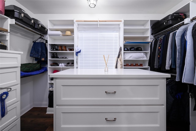 2113 Twin Creeks Cir, Pilot Point, TX 76258 - walk in closet with dark wood-type flooring