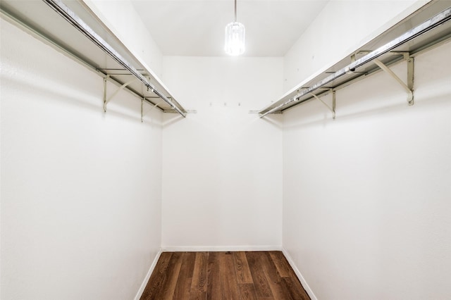 3113 E Park Blvd, Plano, TX 75074 - walk in closet featuring wood finished floors