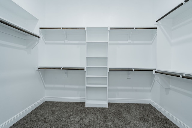4507 Metropolitan Ave, Dallas, TX 75210 - walk in closet with dark colored carpet