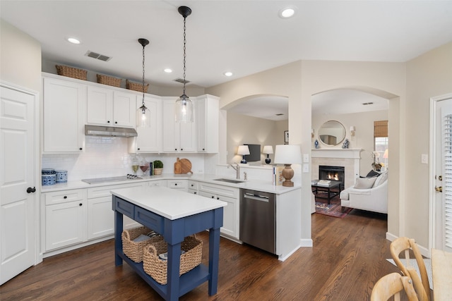 1405 San Mateo Dr, Allen, TX 75013 - kitchen featuring dishwasher, under cabinet range hood, a sink, black electric stovetop, and light countertops