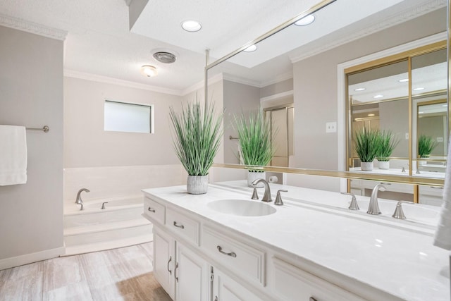6737 Lake Shore Dr, Garland, TX 75044 - bathroom with crown molding, vanity, a garden tub, and recessed lighting