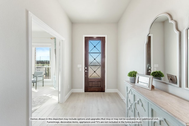 4421 Blue Mist Dr, Fort Worth, TX 76036 - entryway featuring light wood finished floors, plenty of natural light, and baseboards