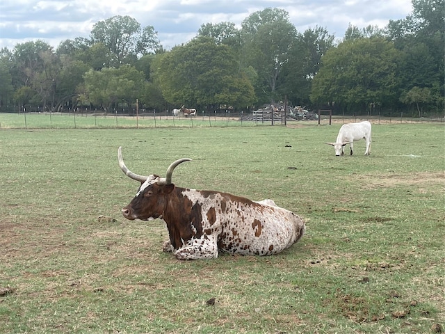 2160 County Road 4371, Decatur, TX 76324