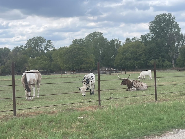 2160 County Road 4371, Decatur, TX 76324