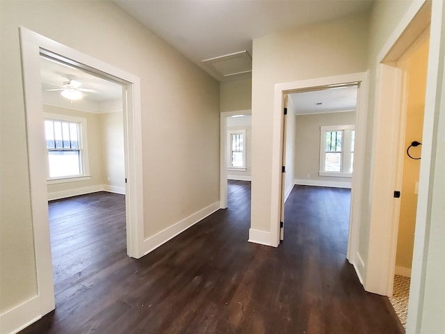 2107 Homan Ave, Waco, TX 76707 - hall featuring plenty of natural light, dark wood-style floors, and attic access