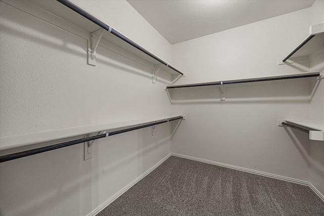 946 Mangrove Dr, Fate, TX 75087 - spacious closet with dark colored carpet