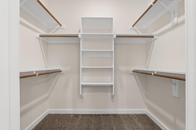 301 Kalura Way, Tool, TX 75143 - walk in closet with carpet flooring