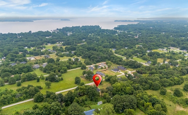 301 Kalura Way, Tool, TX 75143 - aerial view of a large body of water and a heavily wooded area