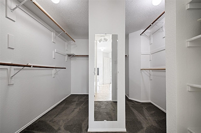6018 San Marino Ct, Rowlett, TX 75089 - walk in closet with dark colored carpet