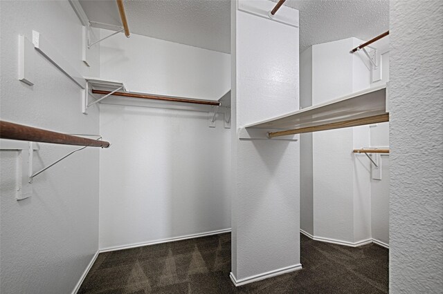 6018 San Marino Ct, Rowlett, TX 75089 - walk in closet featuring carpet floors