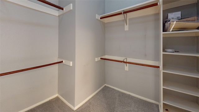 5205 Promise Land Dr, Frisco, TX 75035 - walk in closet featuring carpet