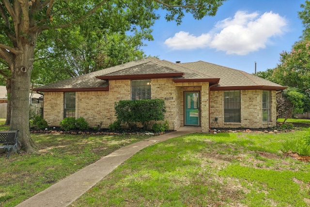 6509 Parkridge Dr, Sachse, TX 75048 - view of front of property featuring roof with shingles, brick siding, and a front lawn
