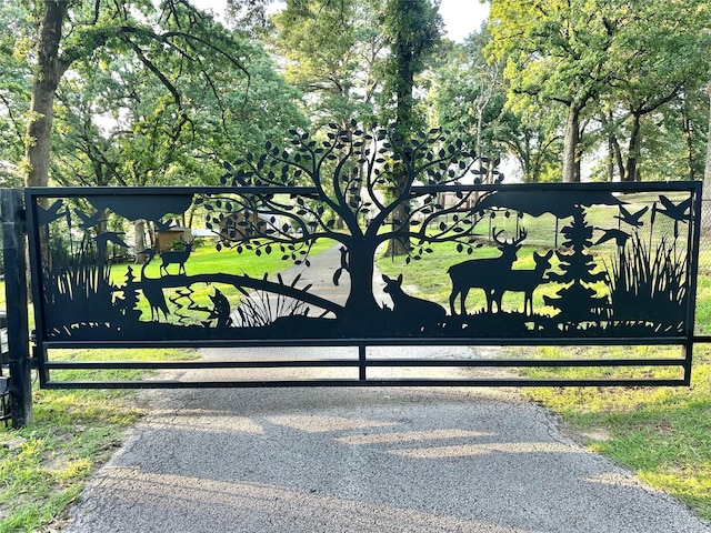 13449 S Hillcreek Rd, Whitehouse, TX 75791 - view of gate