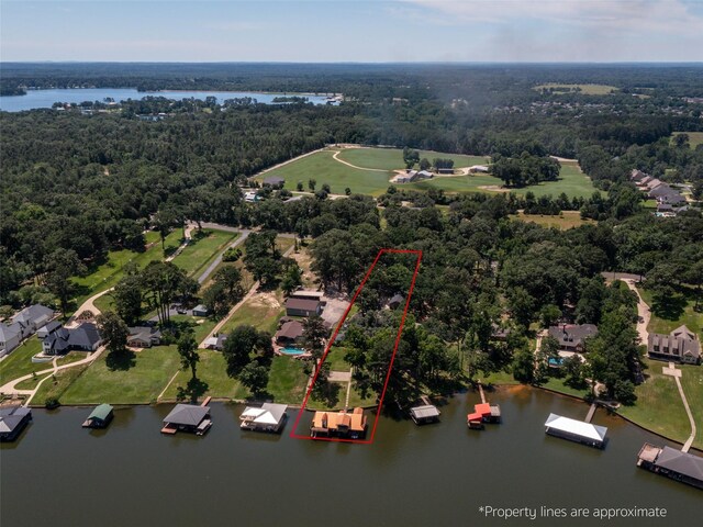 13449 S Hillcreek Rd, Whitehouse, TX 75791 - bird's eye view of a nearby body of water and a forest