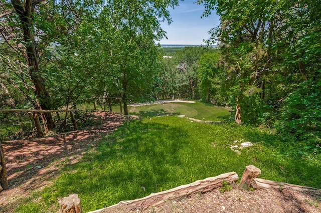2145 Grand View Ct, Cedar Hill, TX 75104 - view of grassy yard