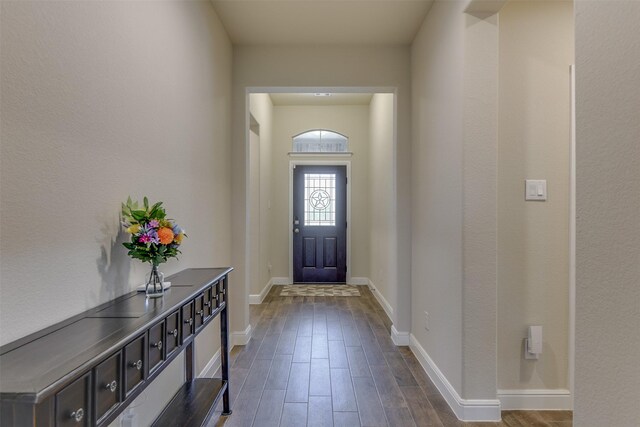 1541 Seabiscuit Dr, Granbury, TX 76049 - doorway featuring baseboards and dark wood-style floors