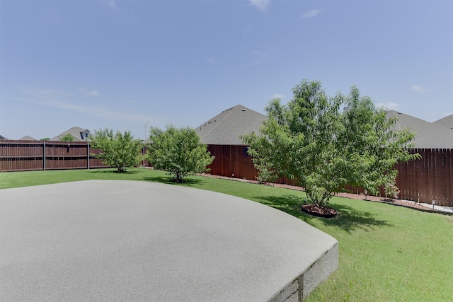 1541 Seabiscuit Dr, Granbury, TX 76049 - view of yard