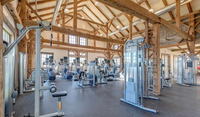 719 Forefront Ave, Celina, TX 75009 - exercise room featuring high vaulted ceiling
