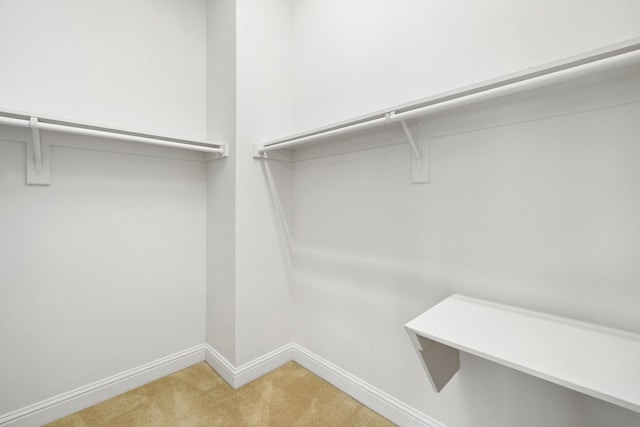 1120 Hemingway Ln, Irving, TX 75063 - walk in closet featuring light carpet