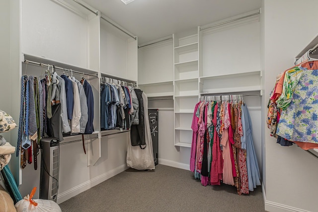 1050 Adair Rd, Prosper, TX 75078 - walk in closet featuring carpet