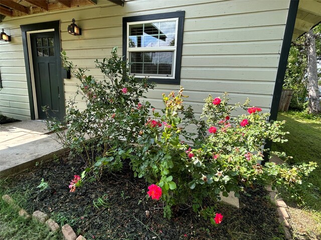 125 Park St E, Sulphur Springs, TX 75482 - view of entrance to property