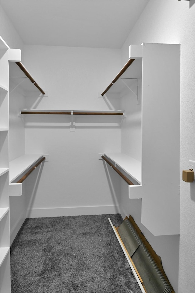 5506 Cold Water Trl, Granbury, TX 76048 - spacious closet featuring carpet floors