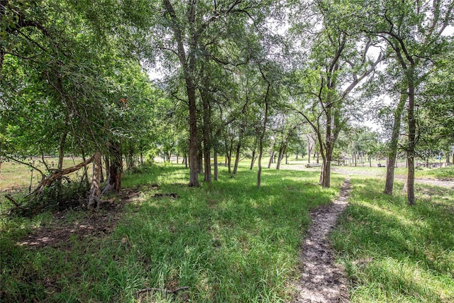 TBD Fm 147, Marlin, TX 76661