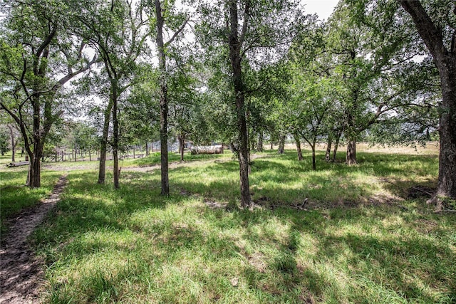 TBD Fm 147, Marlin, TX 76661