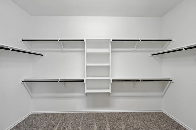 3112 Stonecrop Trl, Denton, TX 76226 - spacious closet with carpet flooring