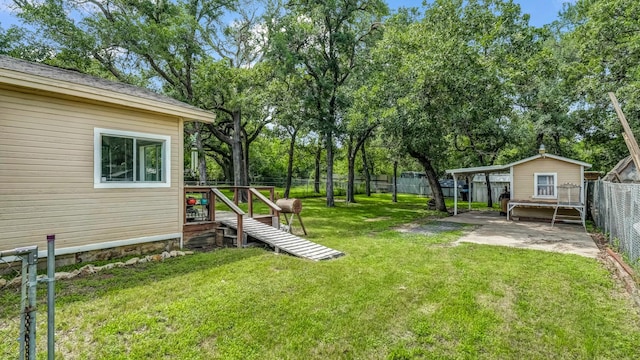 1007 SE 24th St, Mineral Wells, TX 76067 - view of yard