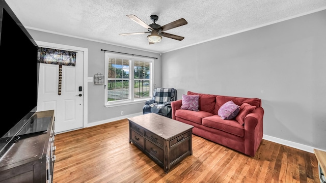 1007 SE 24th St, Mineral Wells, TX 76067 - living room with a textured ceiling, a ceiling fan, light wood finished floors, baseboards, and ornamental molding
