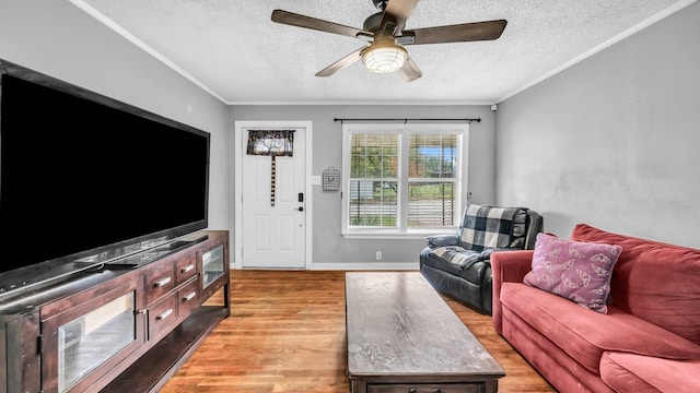 1007 SE 24th St, Mineral Wells, TX 76067 - living area with a textured ceiling, light wood-style floors, ceiling fan, crown molding, and baseboards