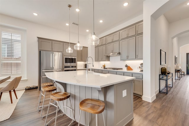1124 Firecracker Dr, Justin, TX 76247 - kitchen featuring appliances with stainless steel finishes, gray cabinetry, under cabinet range hood, arched walkways, and recessed lighting
