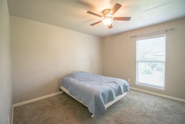 301 Patricia St, Lacy Lakeview, TX 76705 - bedroom with baseboards, multiple windows, carpet, and a ceiling fan